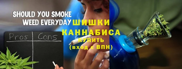 прущие грибы Горнозаводск