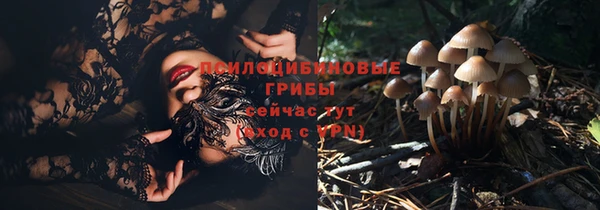 спайс Вязники