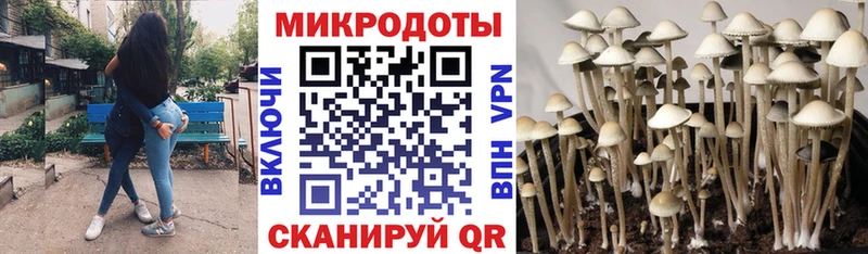 hydra ONION  Заволжск  darknet официальный сайт  как найти наркотики  Галлюциногенные грибы GOLDEN TEACHER 